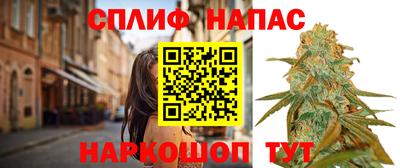 стаф Коммунар